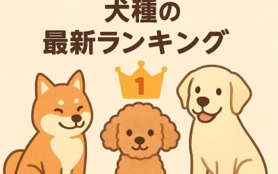 千葉県で飼われている犬種の最新ランキング