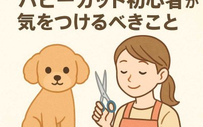 トリマー経験者が語る！パピーカット初心者が気をつけるべきこと