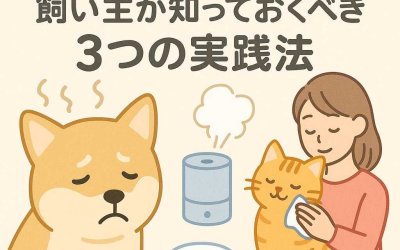 ペットの乾燥対策！飼い主が知っておくべき3つの実践法