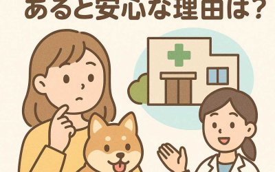 ペットの相談場所があると安心な理由とは？