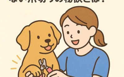 【プロ直伝】愛犬が嫌がらない爪切りの秘訣とは？