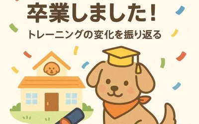 犬の幼稚園を卒業しました！トレーニングの変化を振り返る
