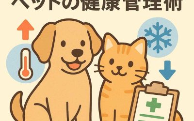 寒暖差が及ぼす影響を軽減！ペットの健康管理術