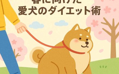 無理なく実施！春に向けた愛犬のダイエット術