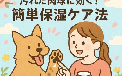春のお散歩で汚れた肉球に効く！簡単保湿ケア法
