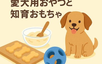 簡単DIY！おうちで作る愛犬用おやつと知育おもちゃ