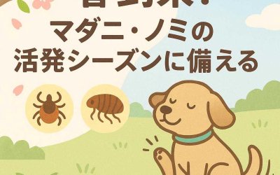 春到来！マダニ・ノミの活発シーズンに備える方法