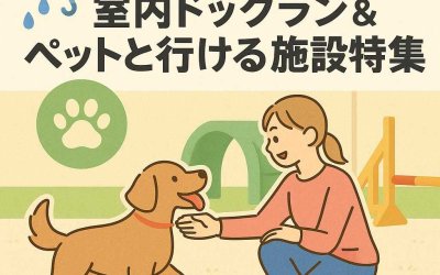雨の日もアクティブに！室内ドッグラン＆ペットと行ける施設特集