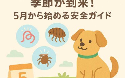 フィラリア・ノミ・ダニの季節が到来！5月から始める安全ガイド