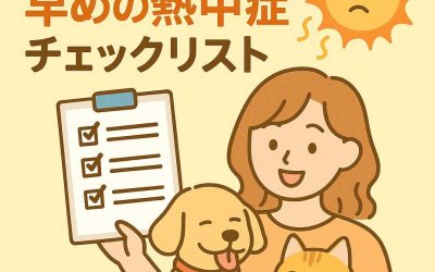 ペットの命を守る！早めの熱中症対策チェックリスト
