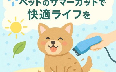 ジメジメした季節に！ペットのサマーカットで快適ライフを