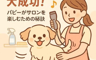 トリミングデビューで大成功！パピーがサロンを楽しむための秘訣