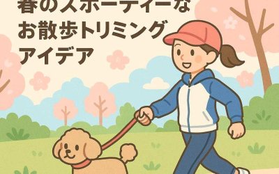 足元スッキリ！春のスポーティーなお散歩トリミングアイデア