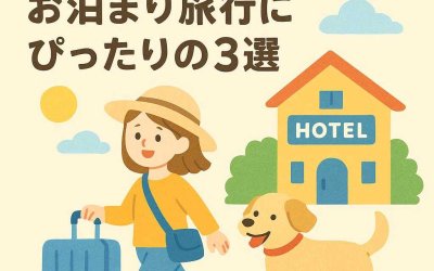 ペットとの最高のGWを！お泊まり旅行にぴったりの3選