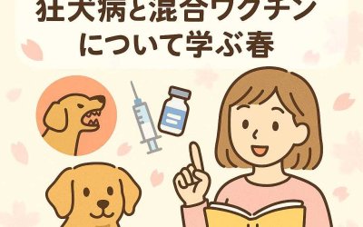 ペットの健康管理の基本！狂犬病と混合ワクチンについて学ぶ春