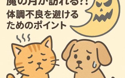 ペットの暮らしに魔の月が訪れる?! 体調不良を避けるためのポイント