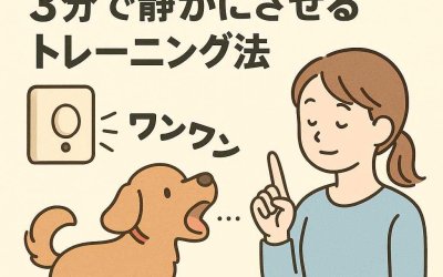 チャイムで吠える犬を3分で静かにさせるトレーニング法