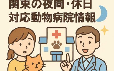 ペットの命を守る！関東の夜間・休日対応動物病院情報