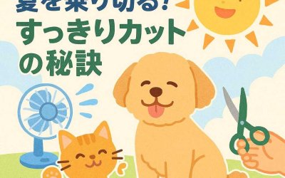 ペットと楽しく夏を乗り切る！すっきりカットの秘訣