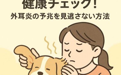 愛犬の耳の匂いで健康チェック！外耳炎の予兆を見逃さない方法