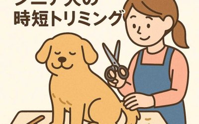 愛犬のために知っておきたい！シニア犬の時短トリミング術