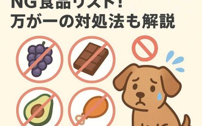 【保存版】犬に危険なNG食品リスト！万が一の対処法も解説