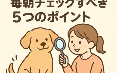 愛犬の健康に大切な30秒！毎朝チェックすべき5つのポイント