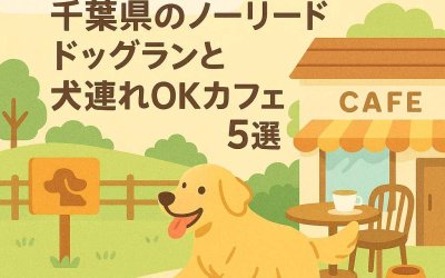 大型犬歓迎！千葉県のノーリードドッグランと犬連れOKカフェ5選