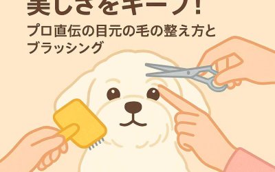次のトリミングまで美しさをキープ！プロ直伝の目元の毛の整え方とブラッシング