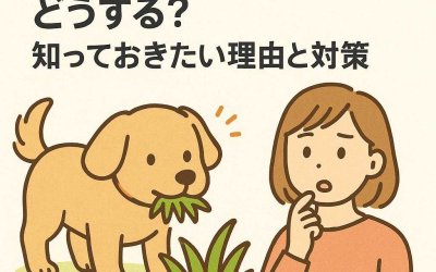犬が急に草を食べ始めたらどうする？知っておきたい理由と対策