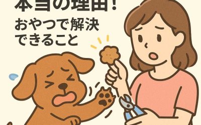 犬が爪切りを嫌がる本当の理由！おやつで解決できること