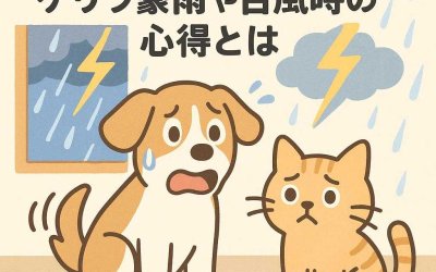 ペットの「雷パニック」! ゲリラ豪雨や台風時の心得とは