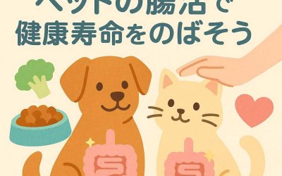 【2026年版】ペットの腸活で健康寿命をのばそう
