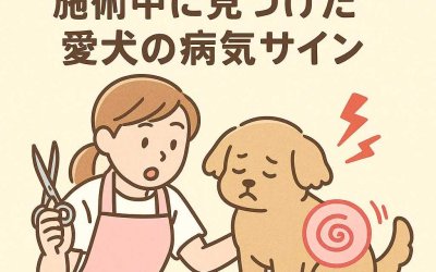 トリマーが発見！施術中に見つけた愛犬の病気サイン