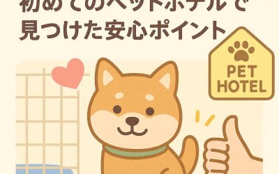 うちの子のお留守番挑戦・初めてのペットホテルで見つけた安心ポイント