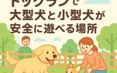 千葉県で安心デビュー！ドッグランで大型犬と小型犬が安全に遊べる場所