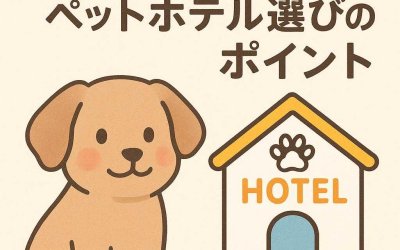 愛犬の性格別・ベストなペットホテル選びのポイント