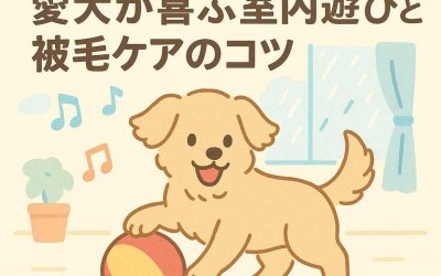 雨の日でも大丈夫！愛犬が喜ぶ室内遊びと被毛ケアのコツ