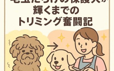 【実録】毛玉だらけの保護犬が輝くまでのトリミング奮闘記
