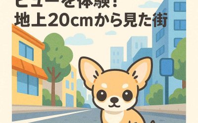 チワワ視点でストリートビューを体験！地上20cmから見た街