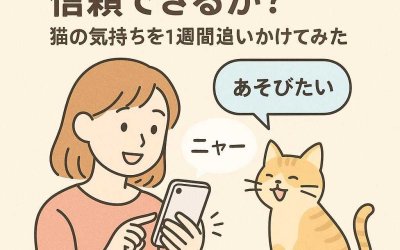 鳴き声翻訳は信頼できるか？ 猫の気持ちを1週間追いかけてみた