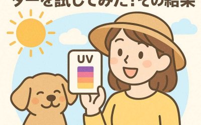 犬と一緒にUVインジケーターを試してみた！その結果