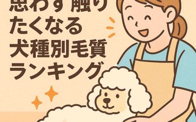 トリマーが驚く！思わず触りたくなる犬種別毛質ランキング