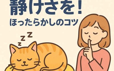お昼寝中のペットには静けさを！ほったらかしのコツ