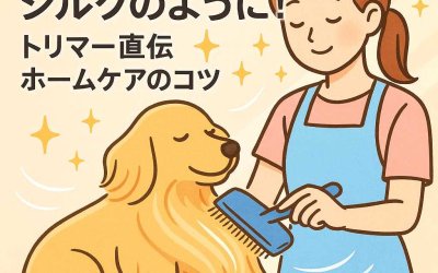 愛犬の被毛をシルクのように！トリマー直伝ホームケアのコツ