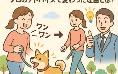 吠える愛犬がお散歩上手に！プロのアドバイスで変わった理由とは？