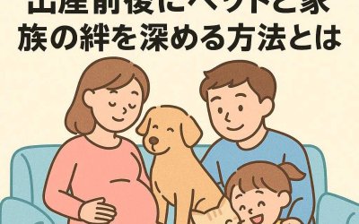 飼い主必見！出産前後にペットと家族の絆を深める方法とは？
