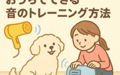 ペットサロンデビュー前に！おうちでできる音のトレーニング方法