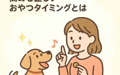 ペットのモチベーションを高める正しいおやつタイミングとは