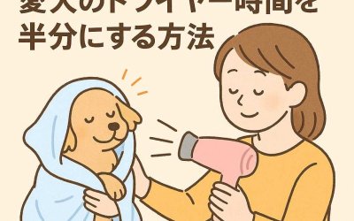 極細タオルワークの極意！愛犬のドライヤー時間を半分にする方法